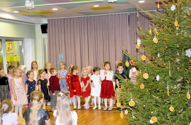 Talvekontsert Sipsikus